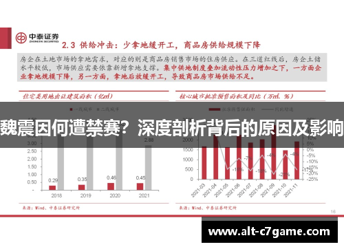 魏震因何遭禁赛？深度剖析背后的原因及影响